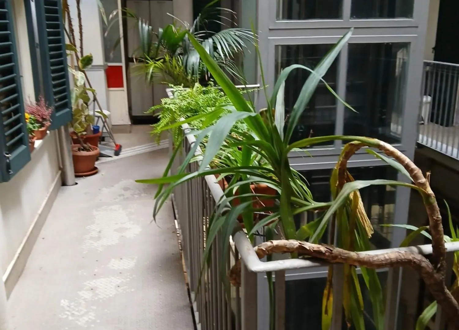 B&B Casa Degli Artisti Palermo Bed & Breakfast