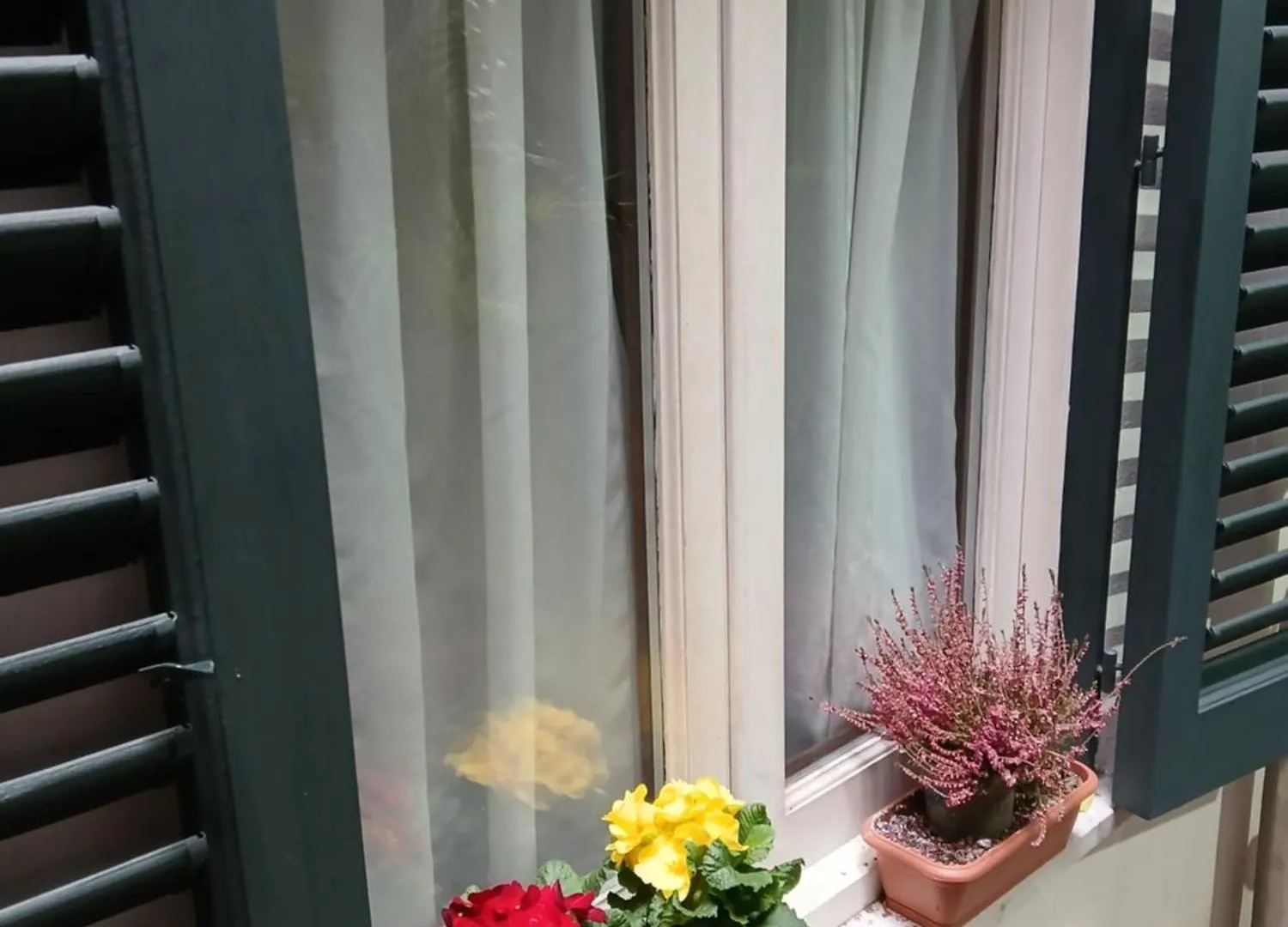 B&B Casa Degli Artisti Palermo