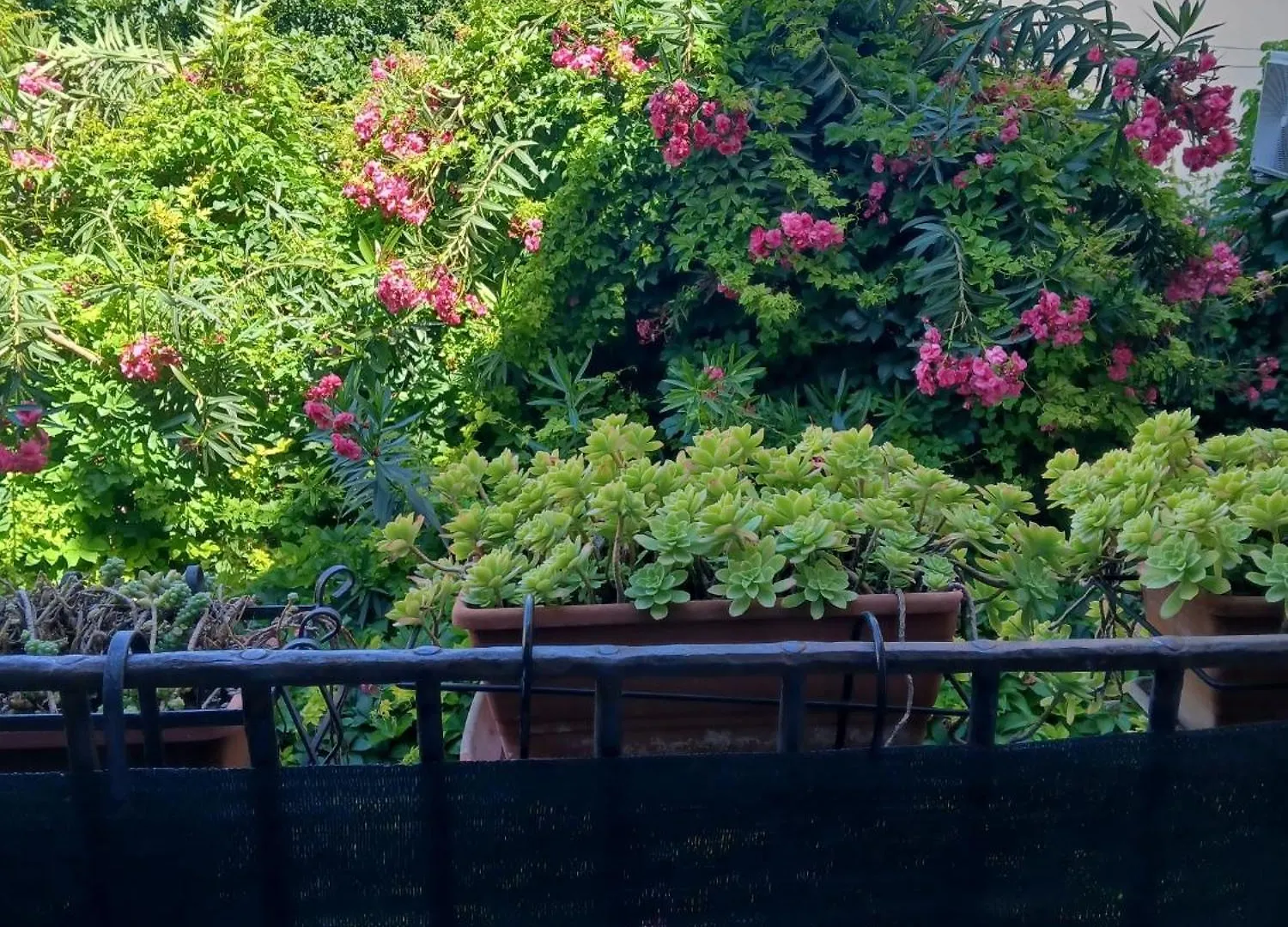B&B Casa Degli Artisti Palermo Italien