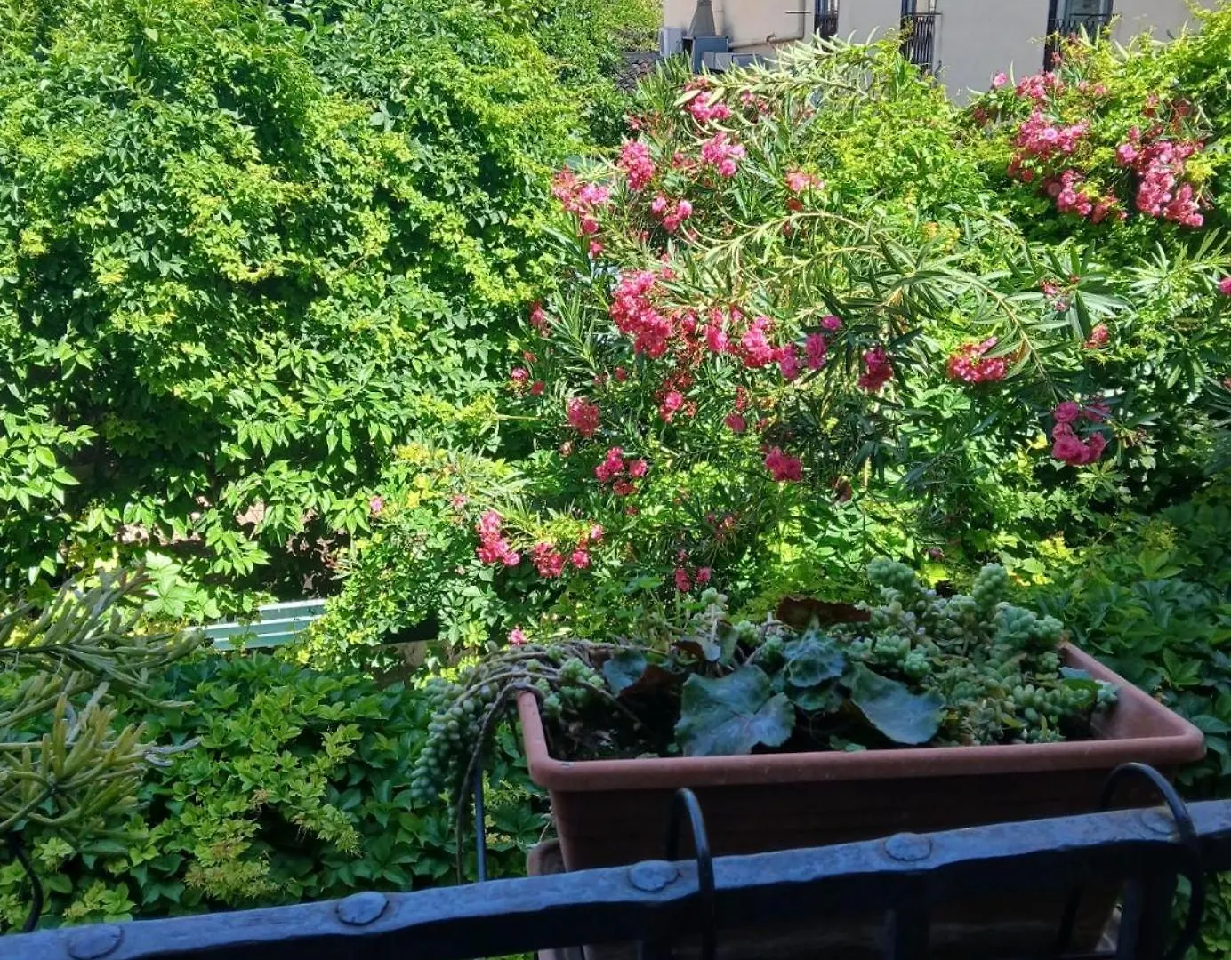 B&B Casa Degli Artisti Palermo Italien